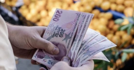 499 € ile Başlayan Yapay Zekâ Testi Size Uygun mu?